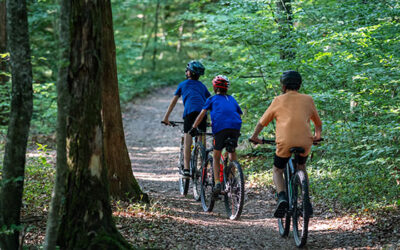 La Forestière à Vierzon le 2 novembre 2025